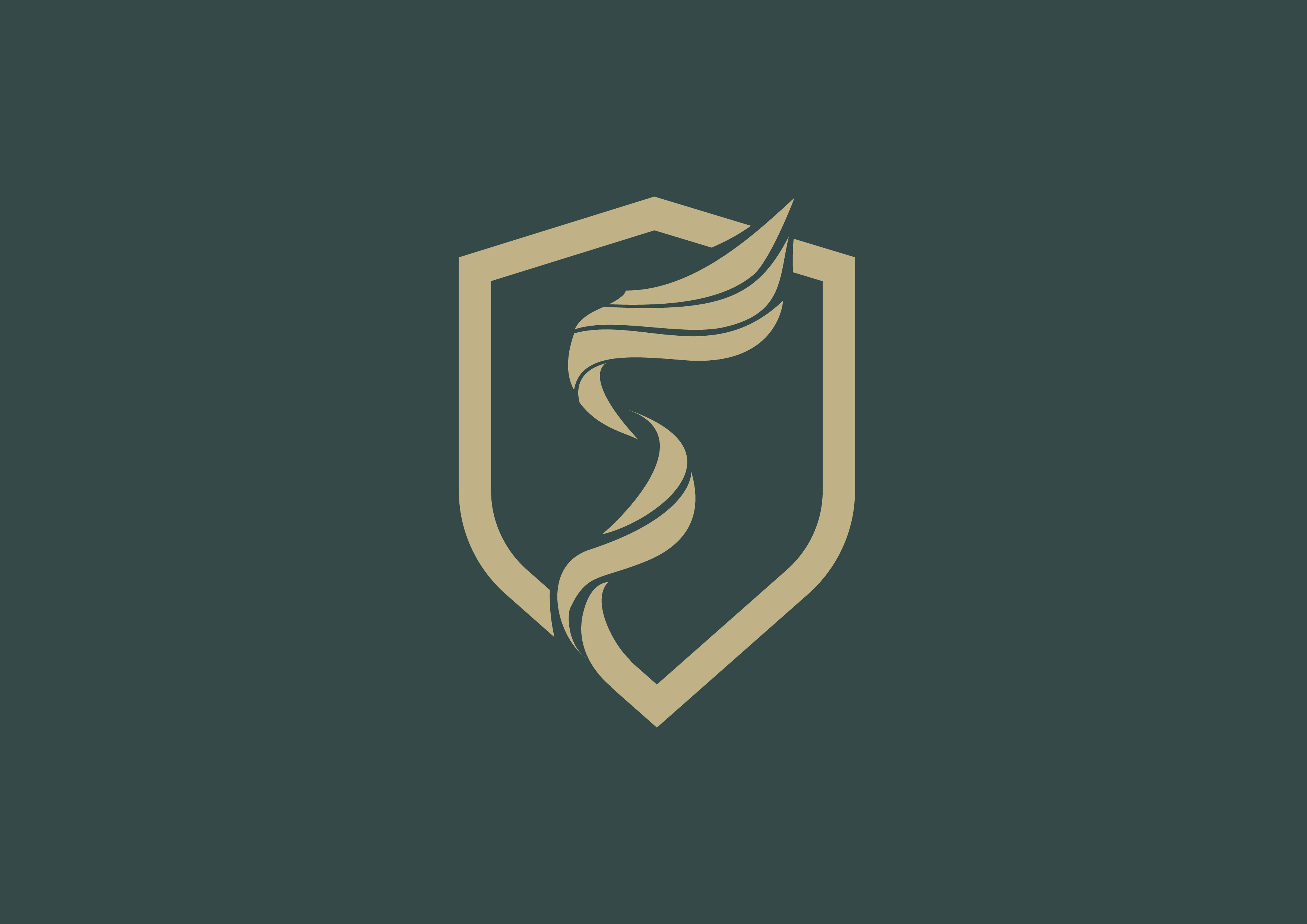 Superasystem shield mark